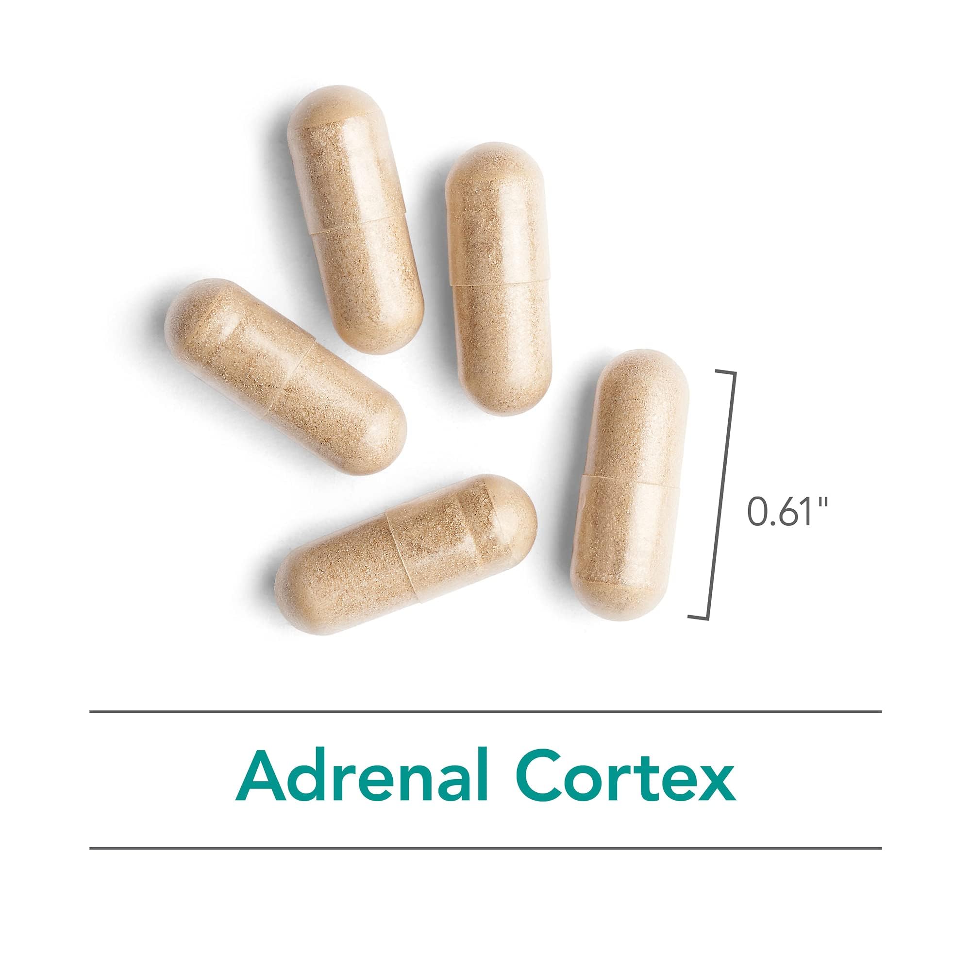 Nutricology Adrenal Support capsules ready for daily dosage to support immune wellness.