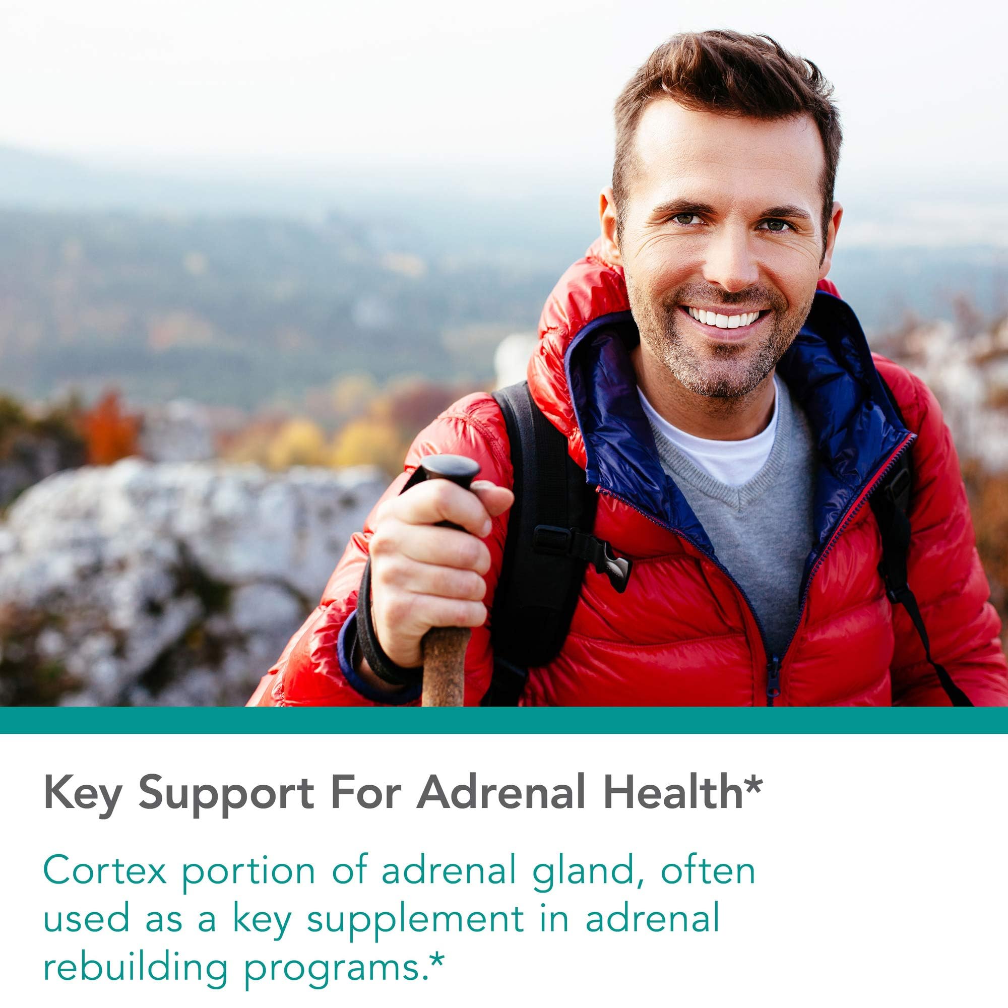 Nutricology Adrenal Support label highlighting bovine glandular ingredients for endocrine support.