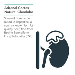 Front packaging of Nutricology Adrenal Support for easy product recognition.