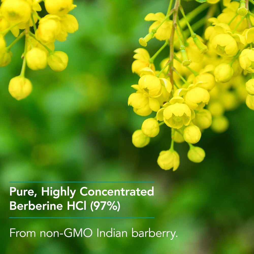 Label on Nutricology Berberine bottle highlights purity and hypoallergenic formulation.
