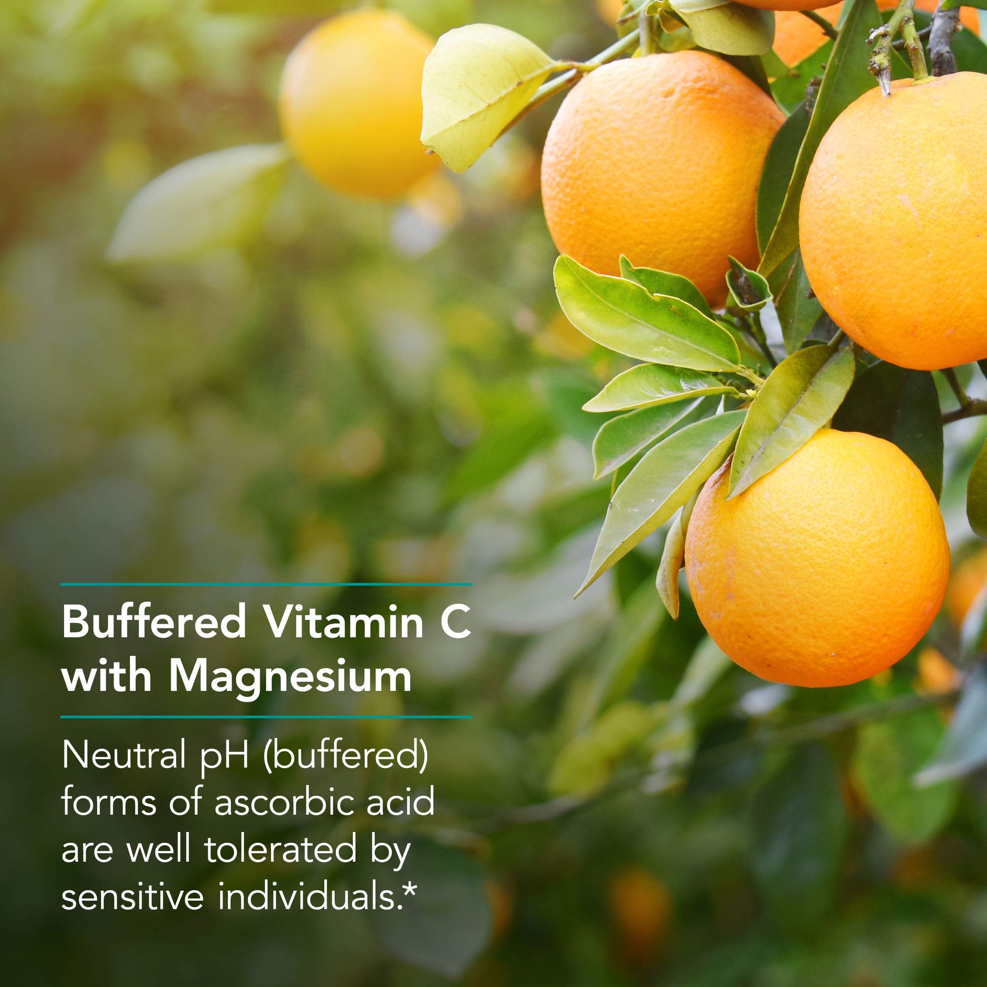 NutriCology Magnesium Ascorbate label close-up showing purity and allergen-free formulation