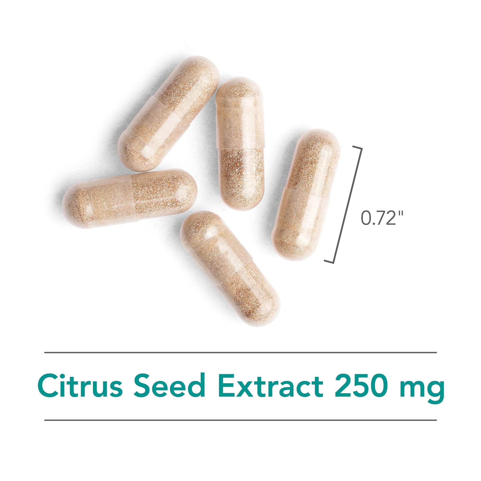 Close-up of Nutricology grapefruit seed extract tablet with clear ingredients.