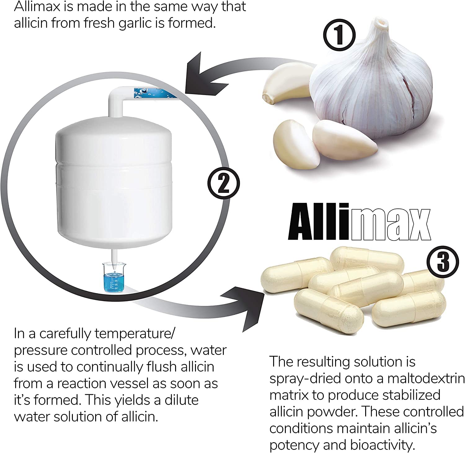 ALLIMAX immune support benefits highlighted for everyday resilience