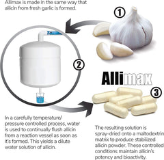 ALLIMAX immune support benefits highlighted for everyday resilience