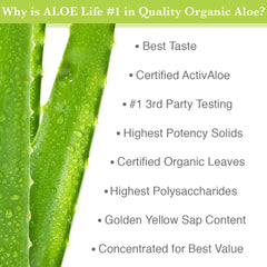 Aloe Life Aloe Gold Tablets held in hand for personal use.