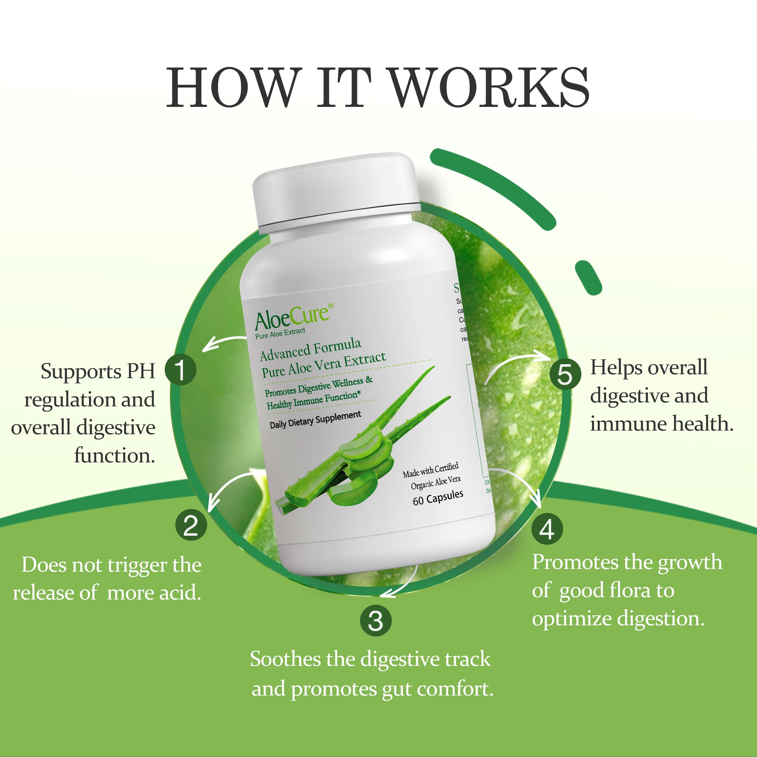 AloeCure aloine-free capsules emphasize stomach-friendly support for everyday wellness.