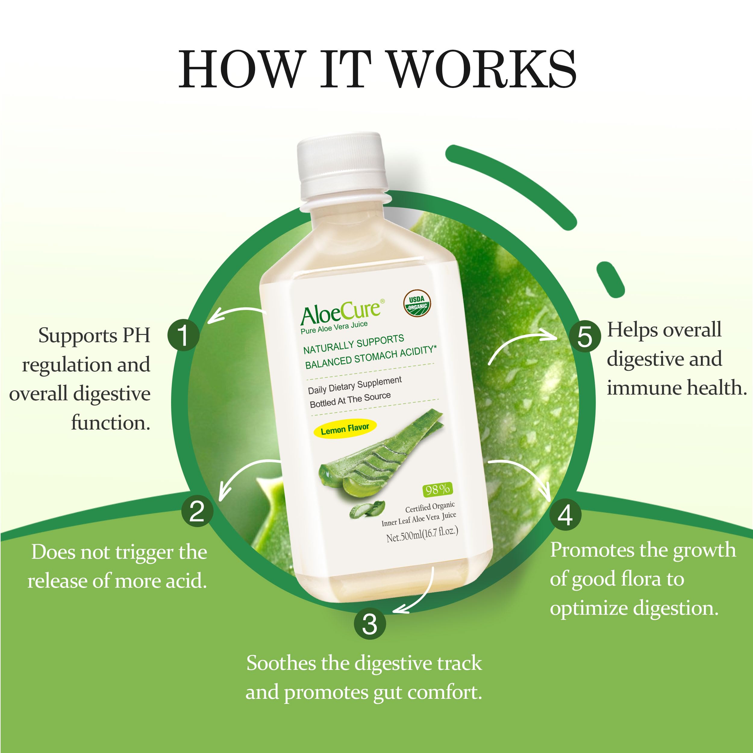 AloeCure inner gel visual emphasizing pure aloe refreshment
