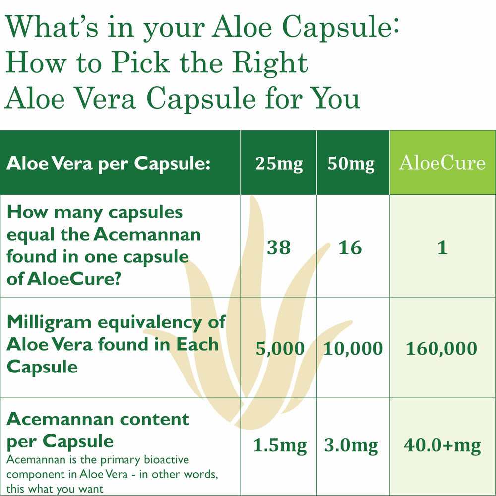 AloeCure label shows ECOCERT organic certification for quality assurance.