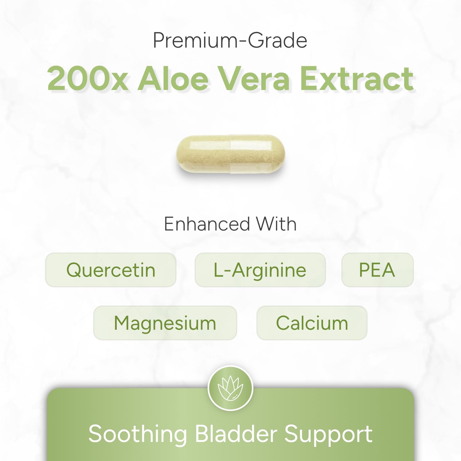 ALOEPATH 200-1 aloe extract capsules emphasize highly concentrated botanical support.