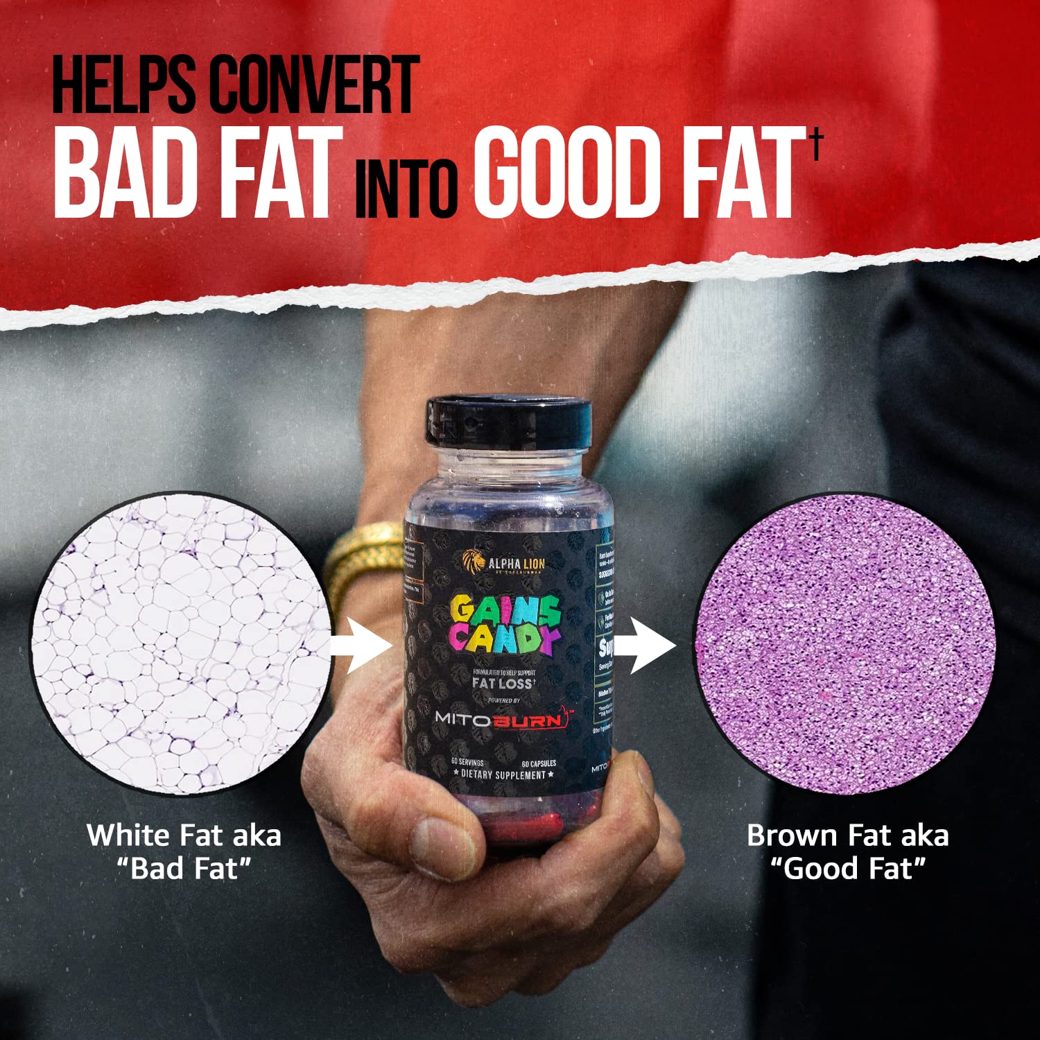 ALPHA LION Gains Candy with workout gear signals performance boost.