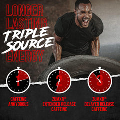 ALPHA LION gym scene featuring focus and performance