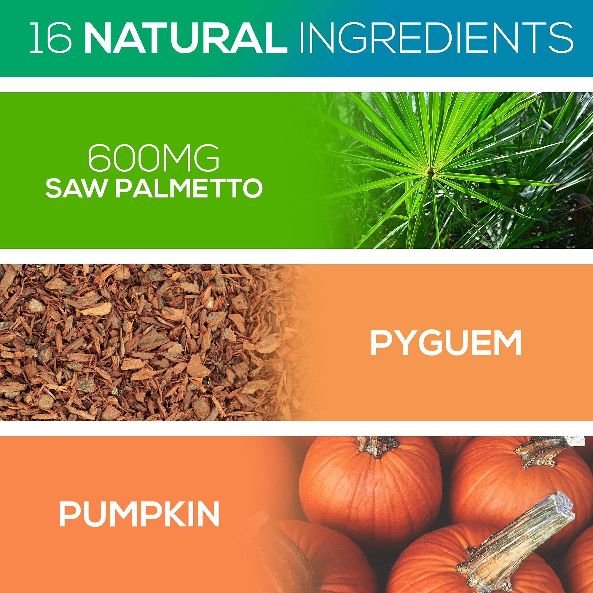 Alpha Rise saw palmetto and pygeum ingredients visualized for natural support.