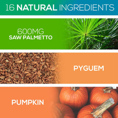 Alpha Rise saw palmetto and pygeum ingredients visualized for natural support.