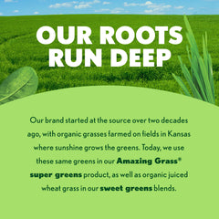Amazing Grass Greens Blend smoothie with scoop shows convenient daily use