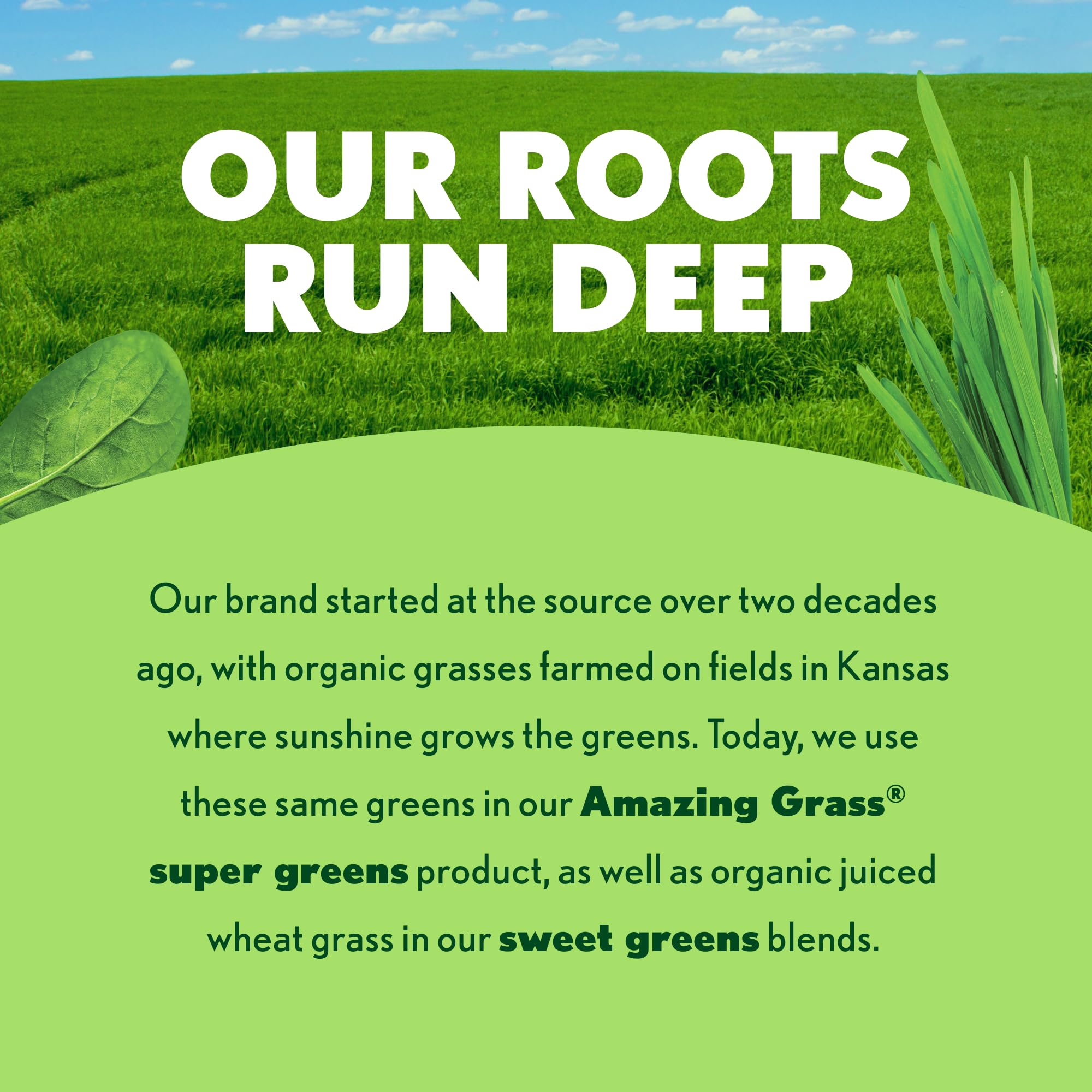 Amazing Grass packaging shows non-GMO vegan formulation for dietary flexibility