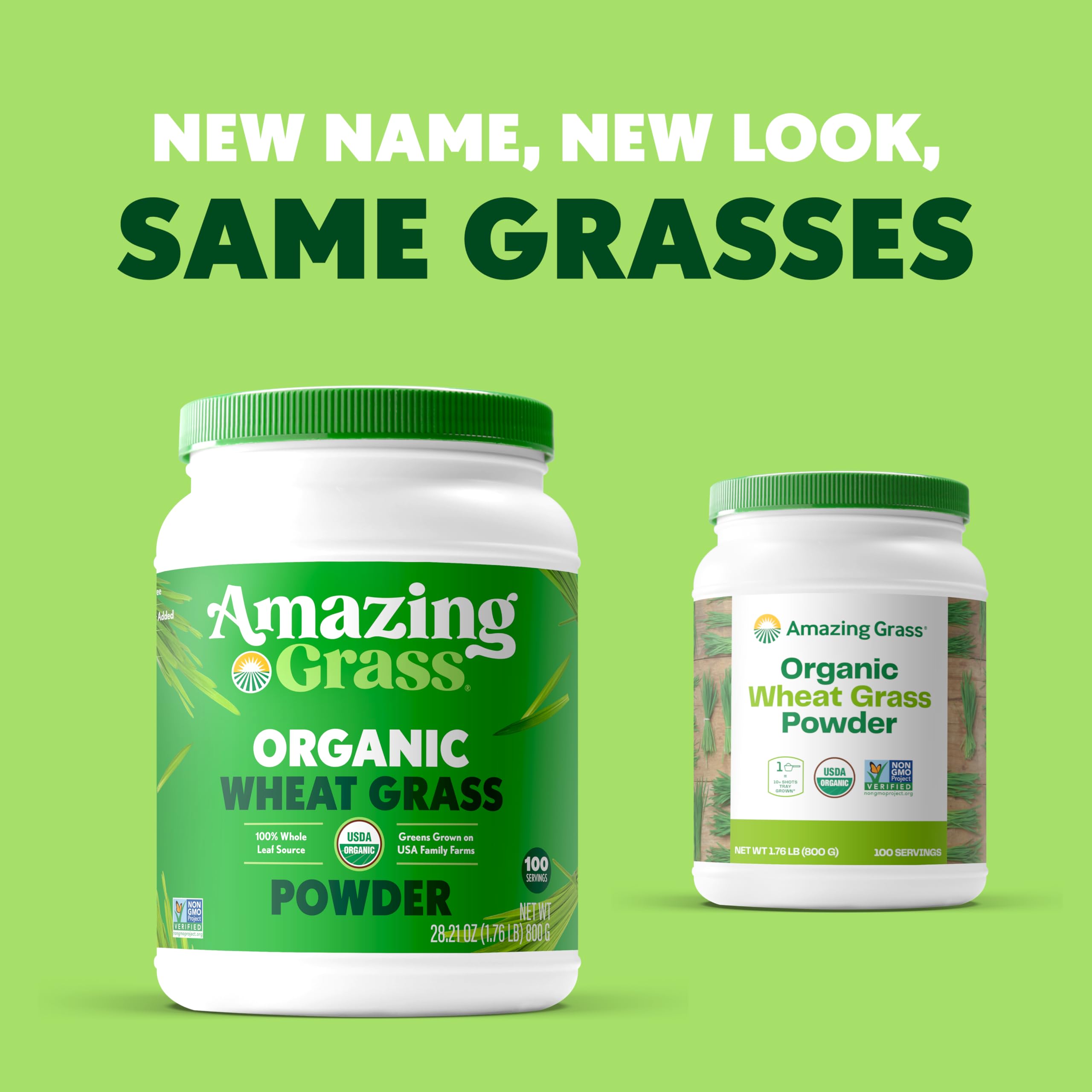 Amazing Grass Wheat Grass powder scoop ready for mixing with smoothies boosts nutrition.