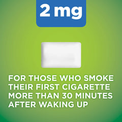 Amazon Basic Care coated nicotine gum 2 mg mint bag supports gradual nicotine reduction