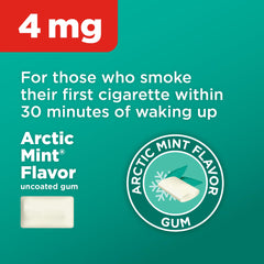 Amazon Basic Care Nicotine Gum 4 mg mint blister pack supports cravings management