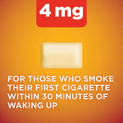 Amazon Basic Care nicotine gum 4 mg cinnamon coating closeup emphasizes smooth texture