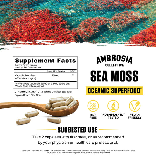 Ambrosia sea moss capsules close-up highlighting vegan veggie capsules