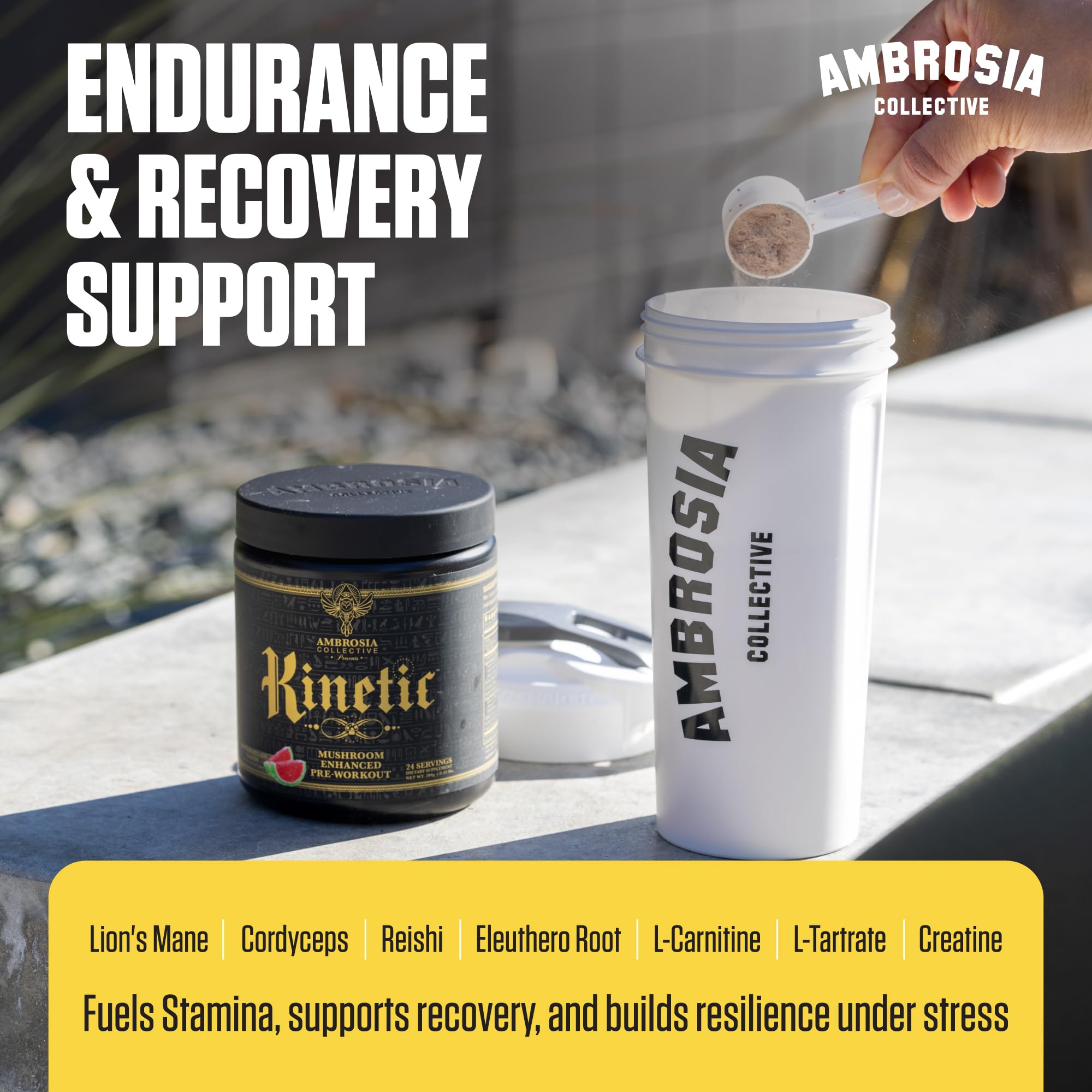 Ambrosia Kinetic mushroom blend image features Lion's Mane and Cordyceps