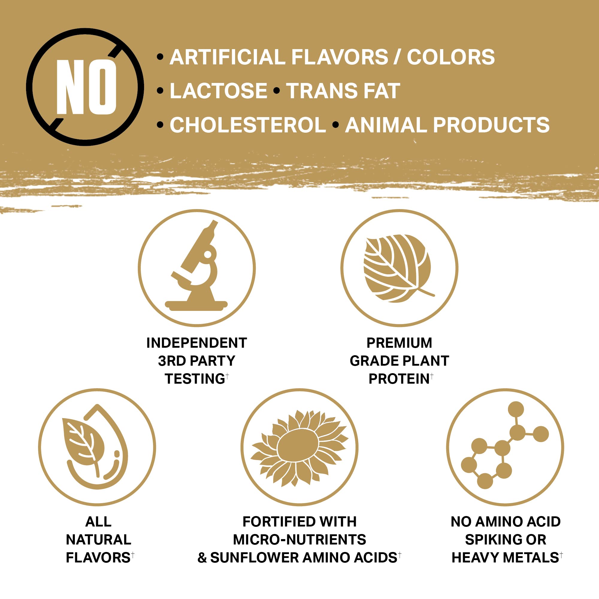 Ambrosia Planta desk-shot with shaker for on-the-go fueling