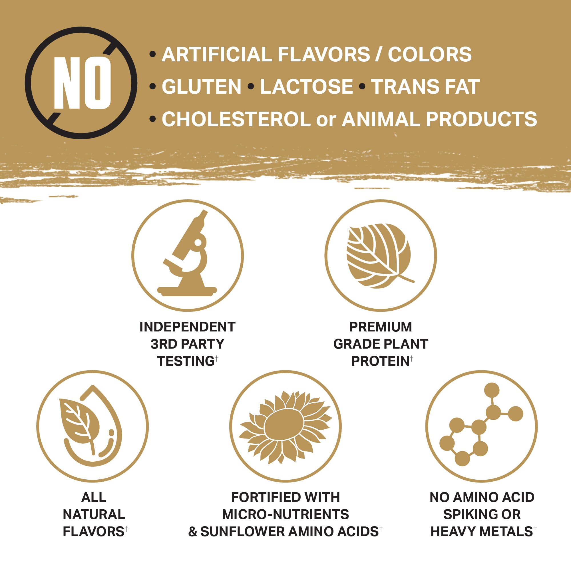 Ambrosia Planta flavor bundle packaging highlights 13 plus flavors and no added sugar