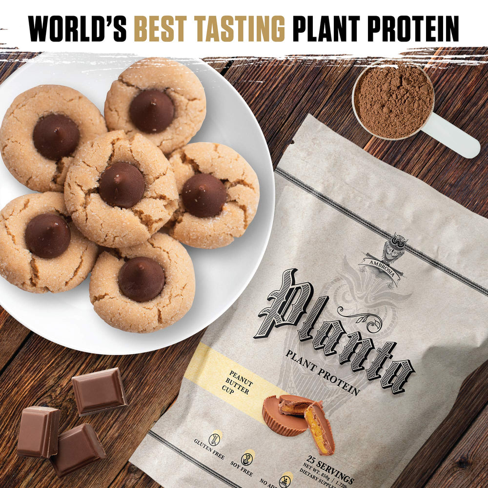 Ambrosia Planta Peanut Butter Cup flavor on a spoon ready to mix.
