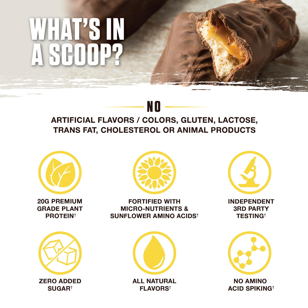 Ambrosia Planta flavors tasting spoon invites gourmet, satisfying plant-based protein experiences.