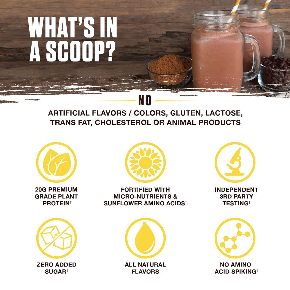 Ambrosia Planta ingredients panel highlights brown rice and pea protein.