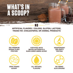 Ambrosia Planta ingredients panel highlights brown rice and pea protein.