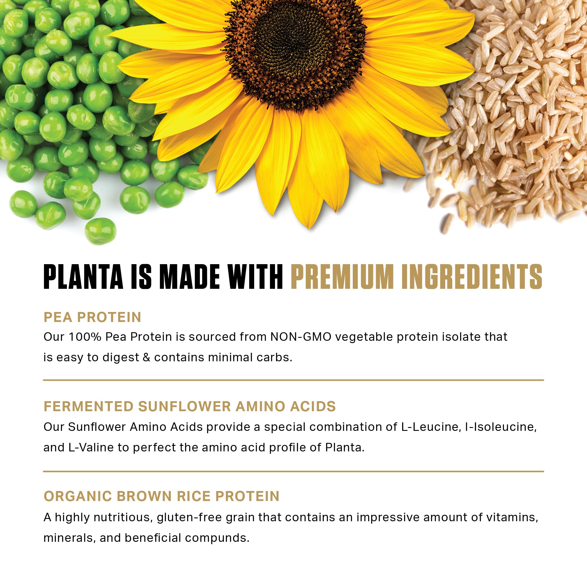 Ambrosia Planta nutrition label close-up showing protein per serving.