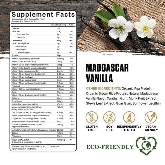 Ambrosia Planta vanilla protein powder scoop showing 20g protein per serving for energy.