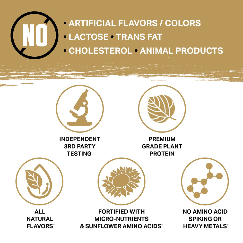 Ambrosia Planta serving idea: smoothie bowl, rich flavor and protein boost.