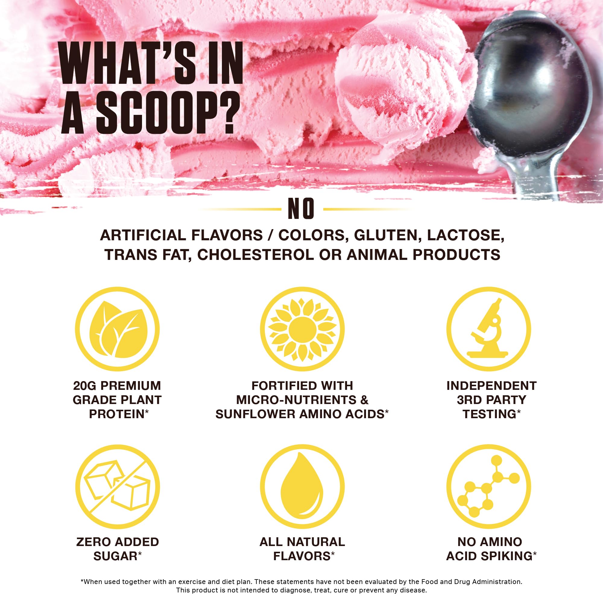 Ambrosia Planta SunBCAA amino acids from fermented sunflowers support recovery