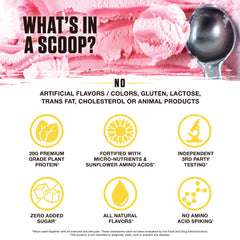 Ambrosia Planta SunBCAA amino acids from fermented sunflowers support recovery