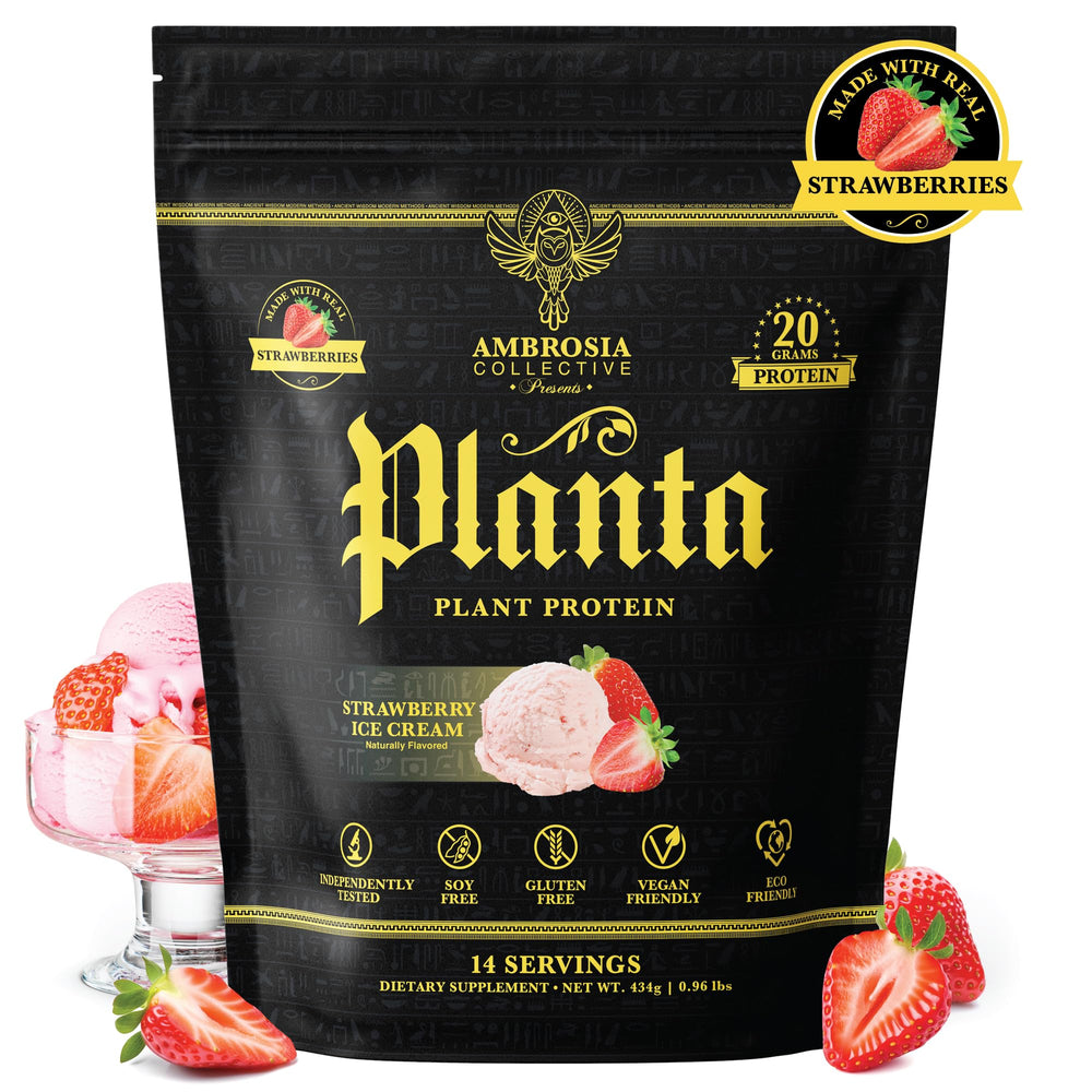 Ambrosia Planta vanilla-cream flavor powder with smooth mixability