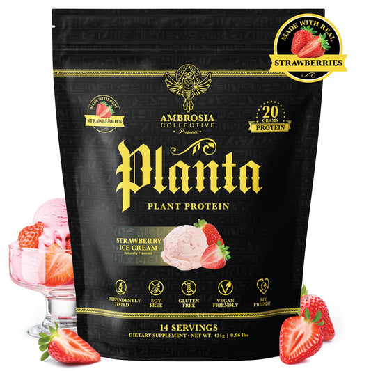 Ambrosia Planta vanilla-cream flavor powder with smooth mixability