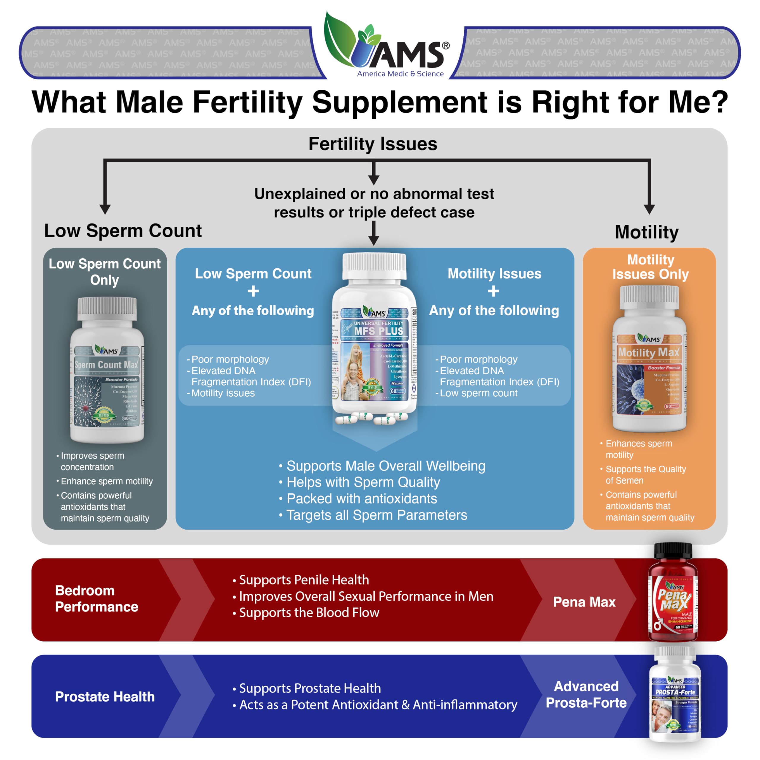 America Medic & Science Sperm Count Max usage scene suggests daily routine.