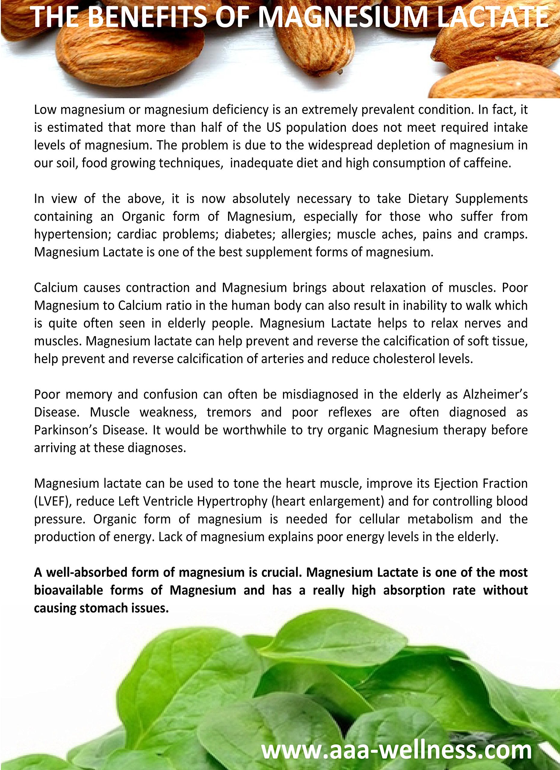 Product label of American Anti Aging Magnesium Lactate with ingredient highlights