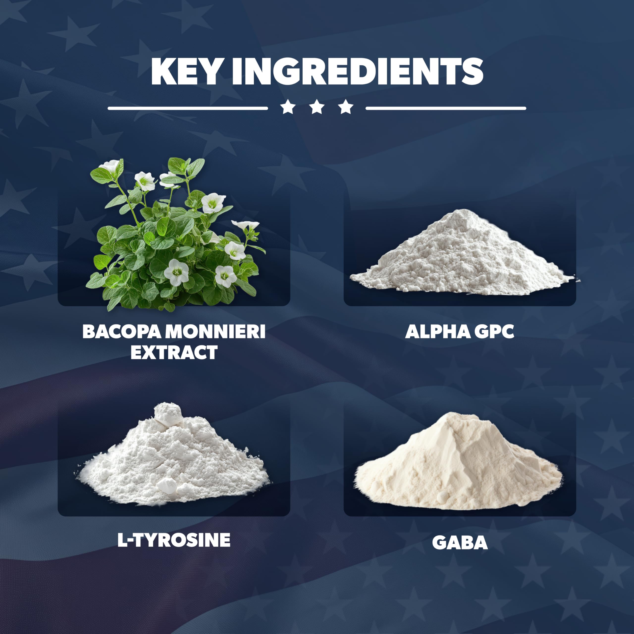 AMERICAN VITALITY Brain Formula ingredients bacopa monnieri label for recall support