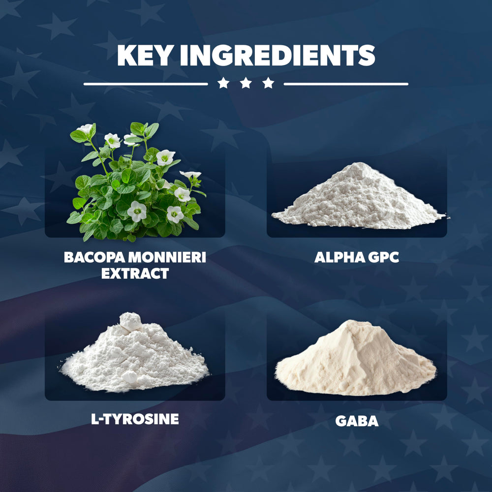 AMERICAN VITALITY Brain Formula ingredients bacopa monnieri label for recall support