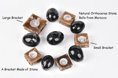 Amoystone hornstone fossil detail emphasizes rugged natural heritage and grounding