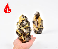 AMOYSTONE natural septarian stone pattern highlights turtle-shell reticulation for striking display