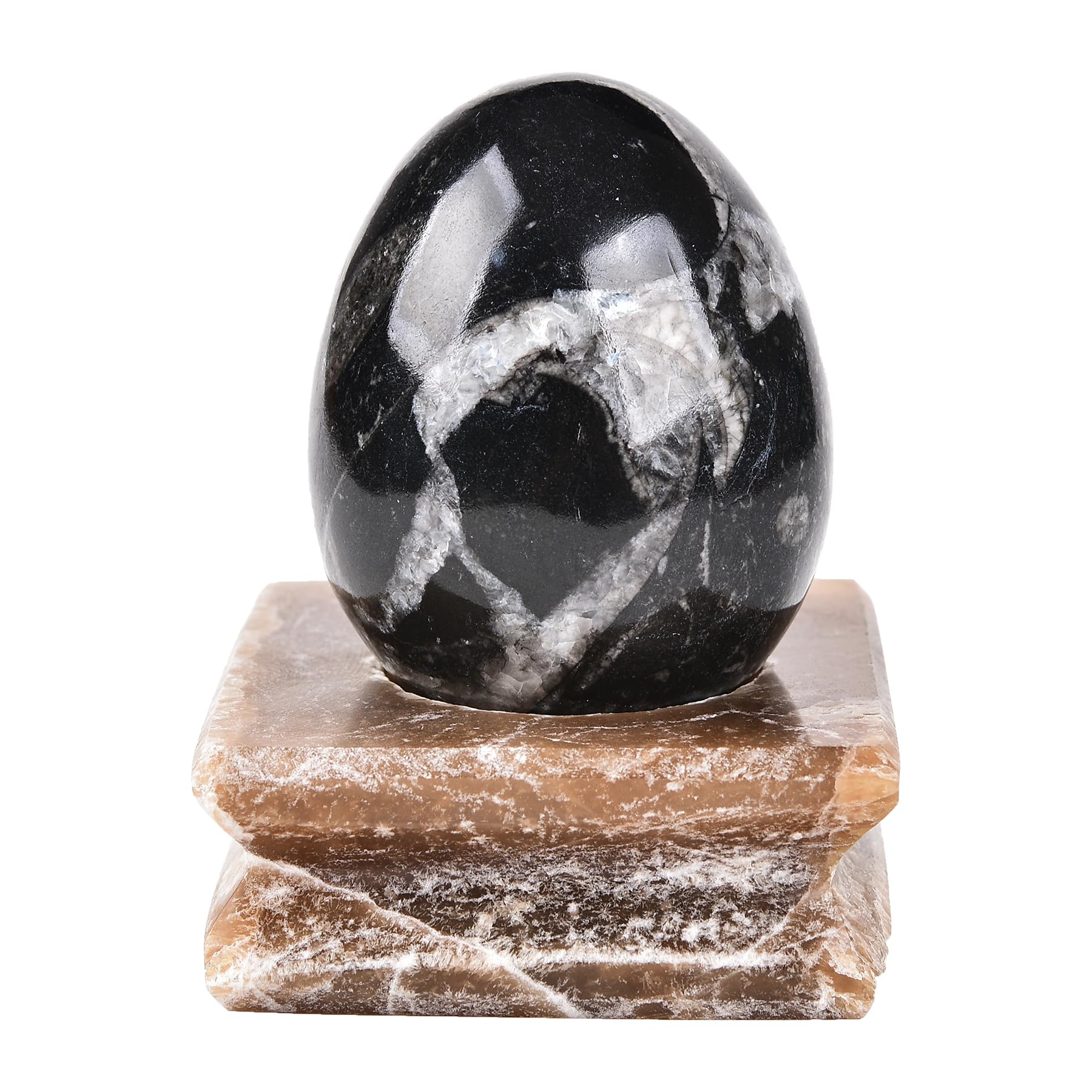 Amoystone Orthoceras egg closeup texture highlights natural carving and beauty