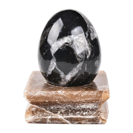 Amoystone Orthoceras egg closeup texture highlights natural carving and beauty