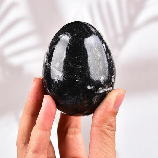 Amoystone Orthoceras egg with base enhances decor and calm ambience