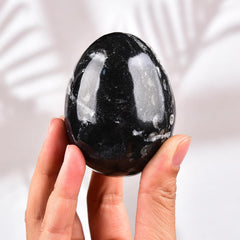 Amoystone Orthoceras egg with base enhances decor and calm ambience