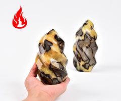 AMOYSTONE Septarian stone close-up reveals turtle-like reticulation and texture
