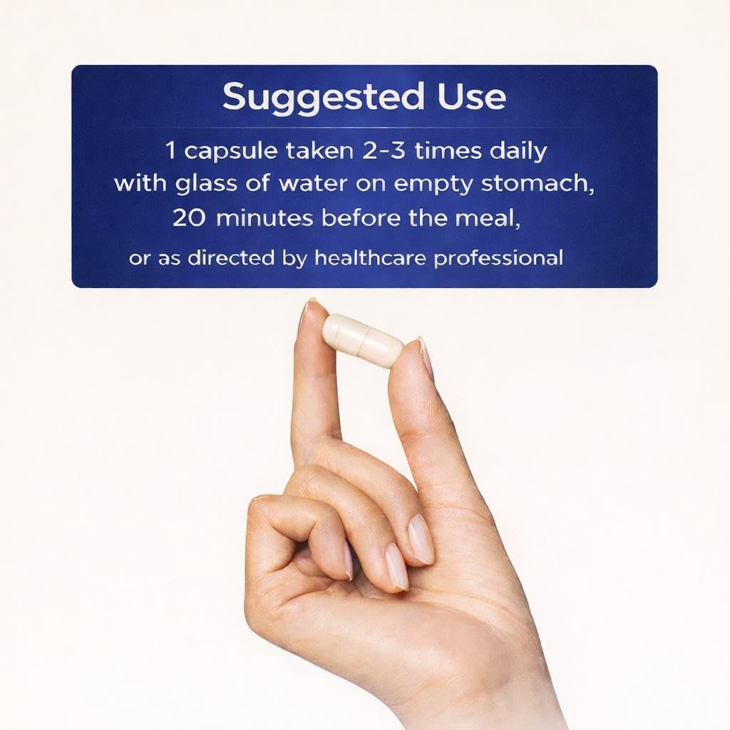 AMVILAB Proteolytic Enzymes 3X label closeup highlighting multi-enzyme blend